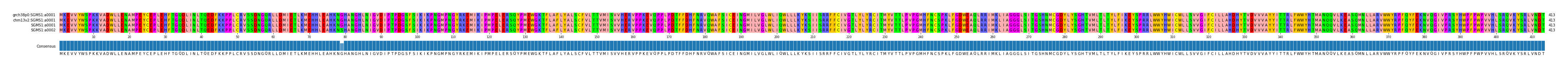 Multiple Alignments (by translate haplotype similarity)