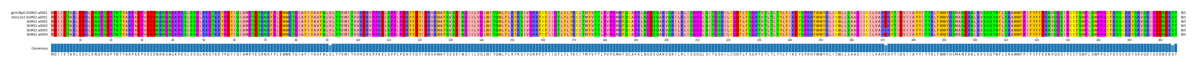 Multiple Alignments (by translate haplotype frequency)