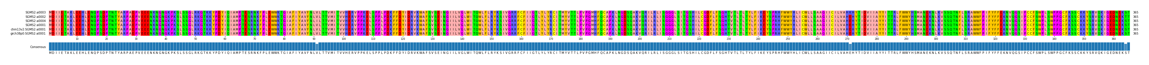 Multiple Alignments (by translate haplotype similarity)