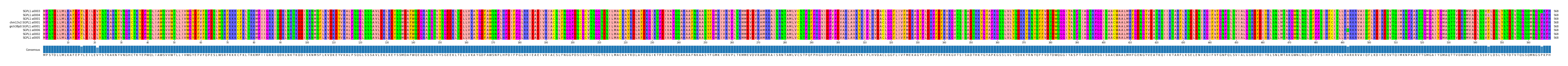 Multiple Alignments (by translate haplotype similarity)