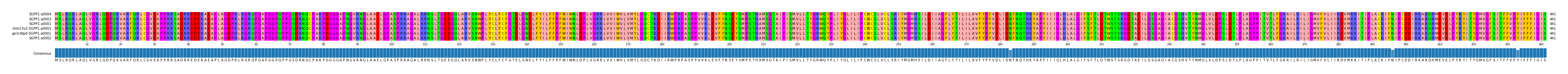 Multiple Alignments (by translate haplotype similarity)