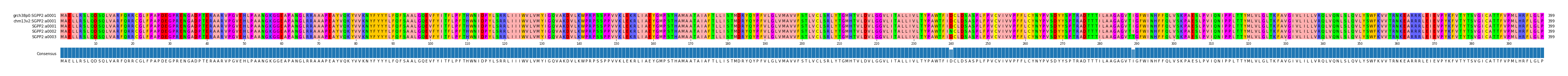 Multiple Alignments (by translate haplotype frequency)