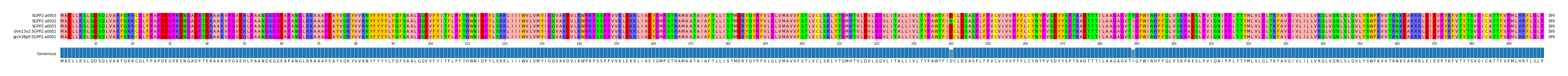 Multiple Alignments (by translate haplotype similarity)