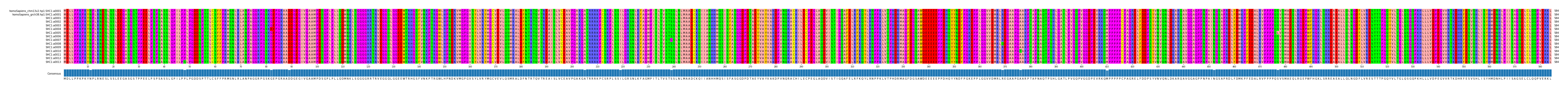 Multiple Alignments (by translate haplotype frequency)