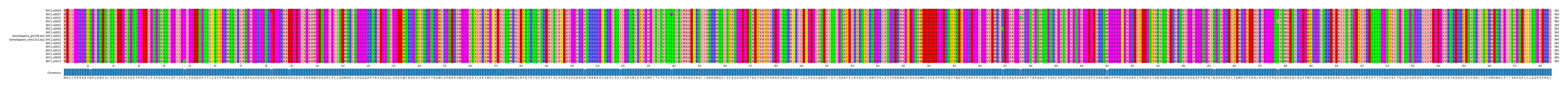 Multiple Alignments (by translate haplotype similarity)