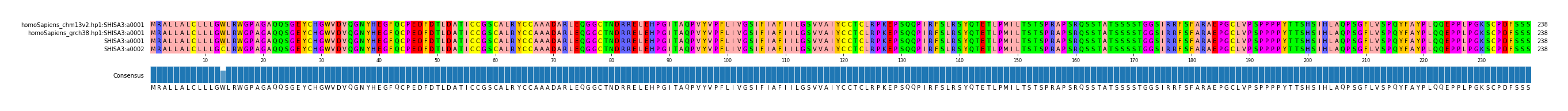 Multiple Alignments (by translate haplotype similarity)