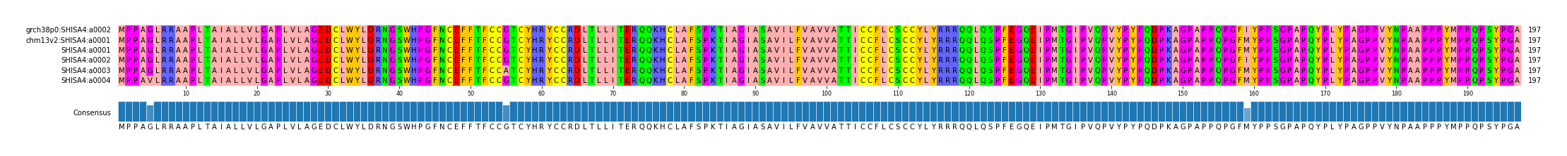 Multiple Alignments (by translate haplotype frequency)