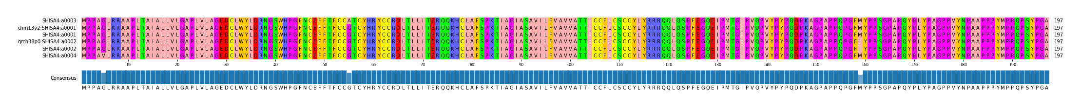 Multiple Alignments (by translate haplotype similarity)