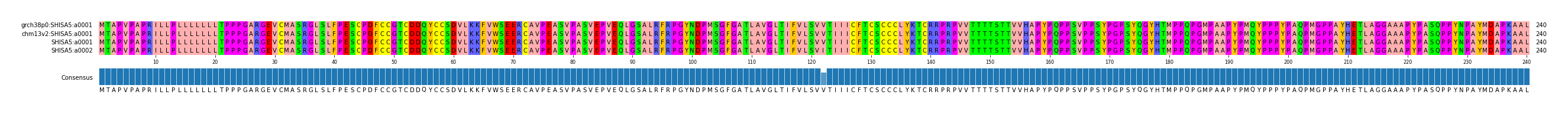 Multiple Alignments (by translate haplotype frequency)