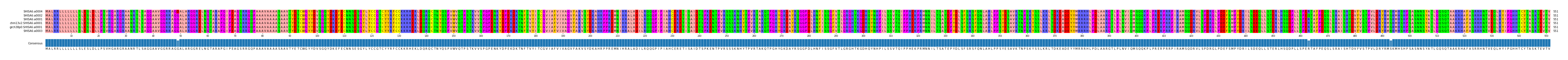 Multiple Alignments (by translate haplotype similarity)