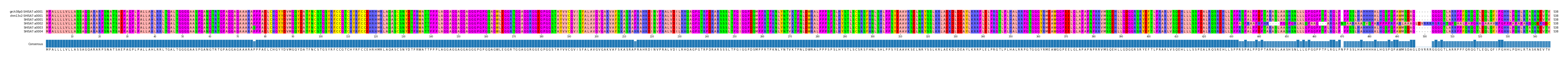 Multiple Alignments (by translate haplotype frequency)