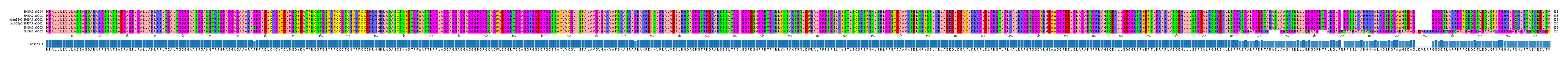 Multiple Alignments (by translate haplotype similarity)