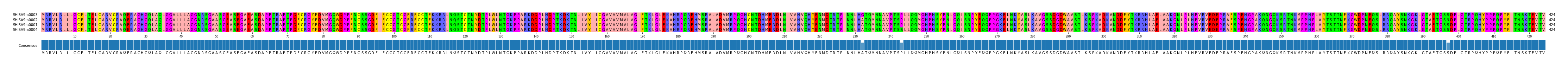 Multiple Alignments (by translate haplotype similarity)