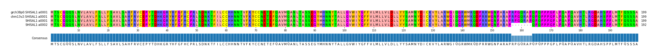 Multiple Alignments (by translate haplotype similarity)