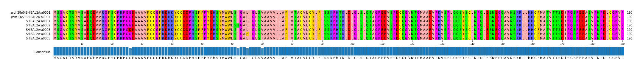 Multiple Alignments (by translate haplotype frequency)