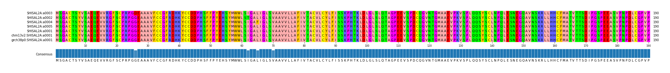 Multiple Alignments (by translate haplotype similarity)
