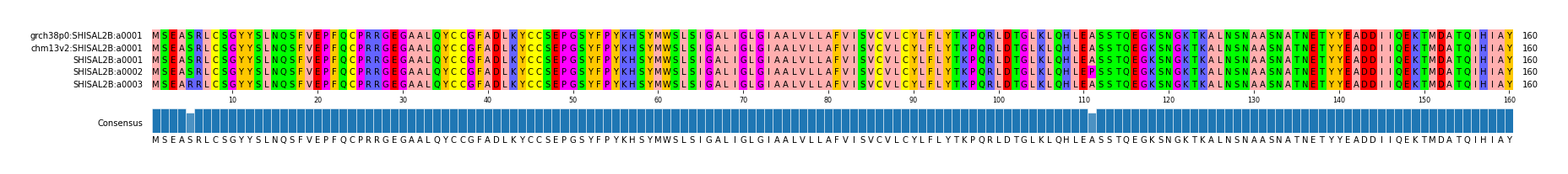 Multiple Alignments (by translate haplotype frequency)
