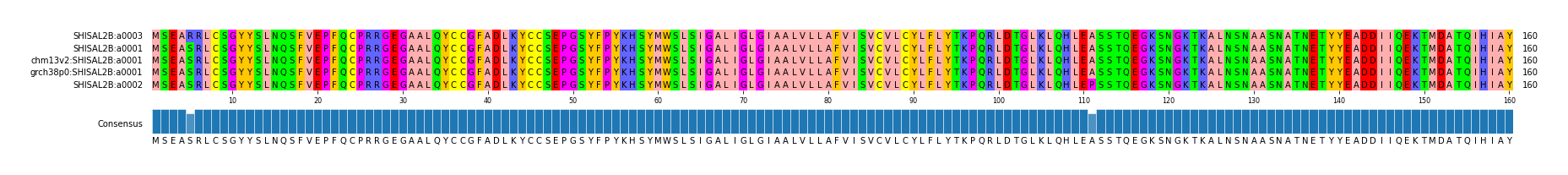 Multiple Alignments (by translate haplotype similarity)