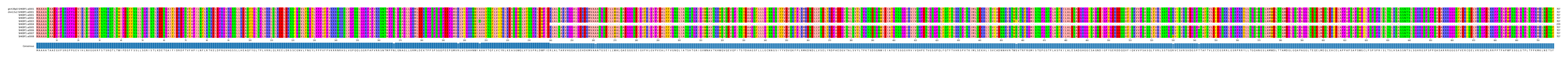 Multiple Alignments (by translate haplotype frequency)