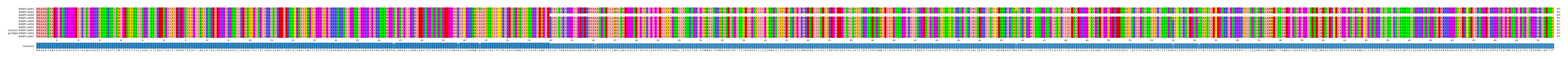 Multiple Alignments (by translate haplotype similarity)