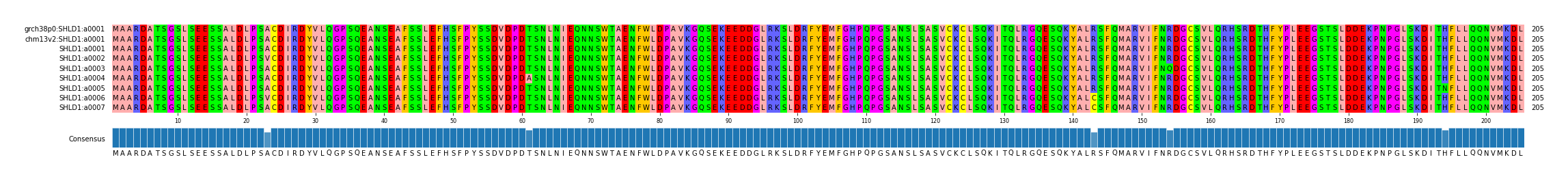 Multiple Alignments (by translate haplotype frequency)