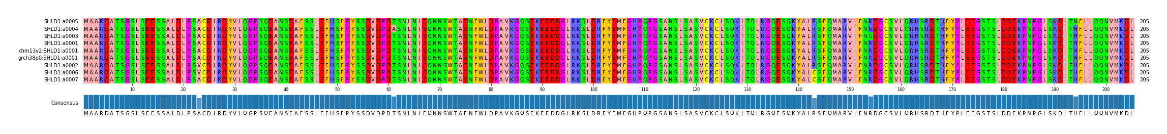 Multiple Alignments (by translate haplotype similarity)