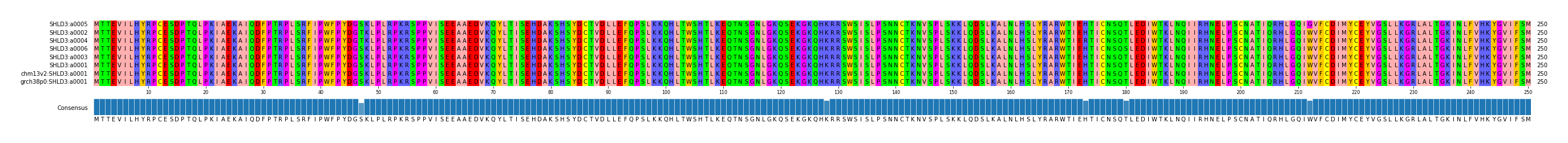 Multiple Alignments (by translate haplotype similarity)