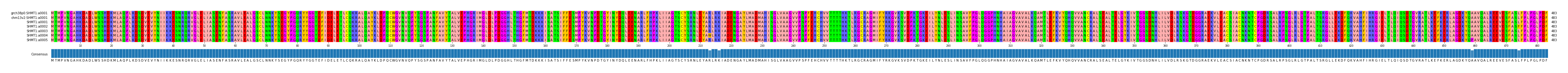 Multiple Alignments (by translate haplotype frequency)