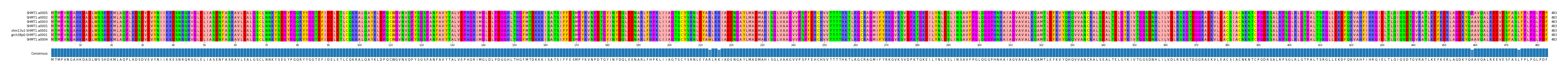 Multiple Alignments (by translate haplotype similarity)