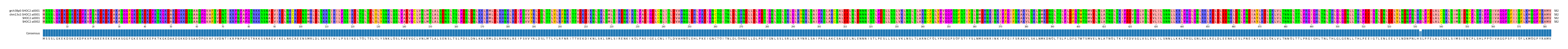 Multiple Alignments (by translate haplotype similarity)