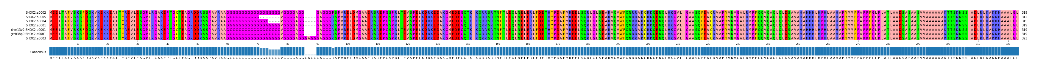 Multiple Alignments (by translate haplotype similarity)