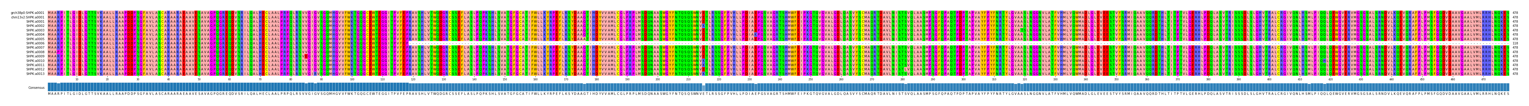 Multiple Alignments (by translate haplotype frequency)