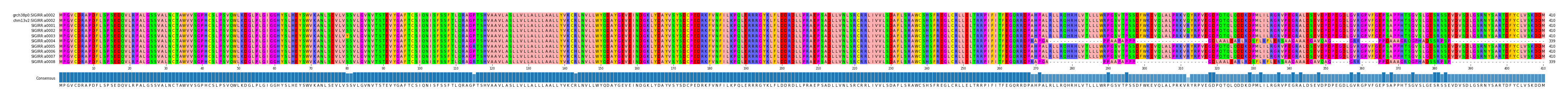 Multiple Alignments (by translate haplotype frequency)