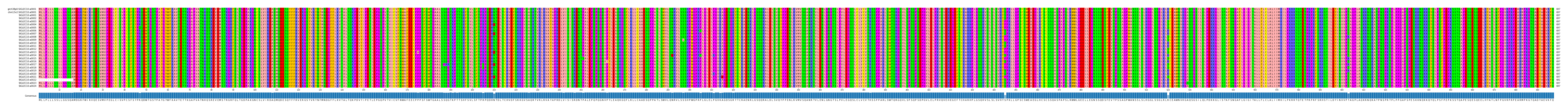 Multiple Alignments (by translate haplotype frequency)
