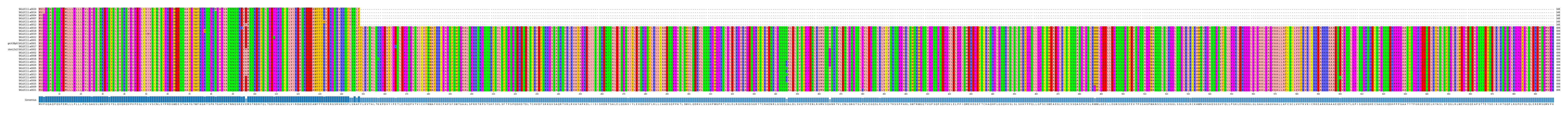 Multiple Alignments (by translate haplotype similarity)
