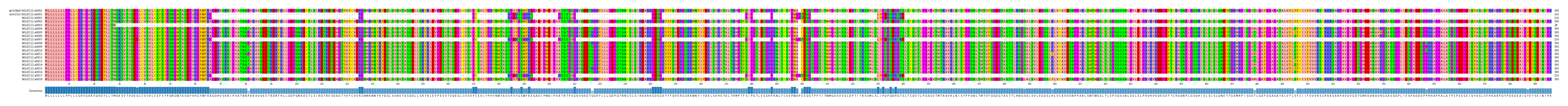Multiple Alignments (by translate haplotype frequency)