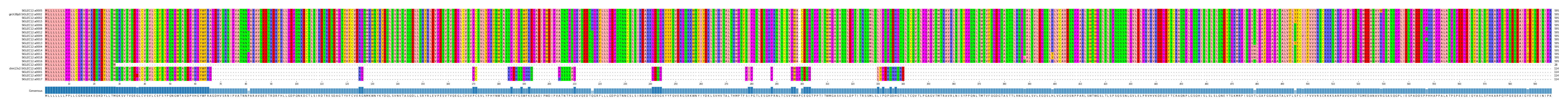 Multiple Alignments (by translate haplotype similarity)