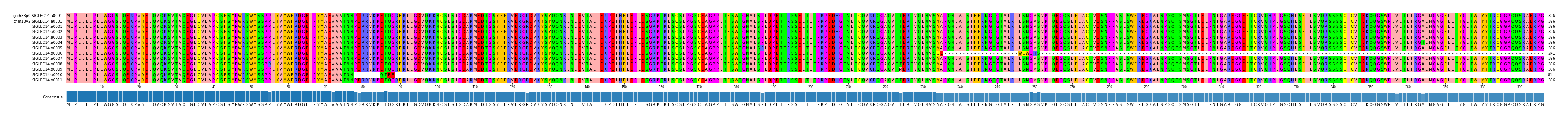 Multiple Alignments (by translate haplotype frequency)