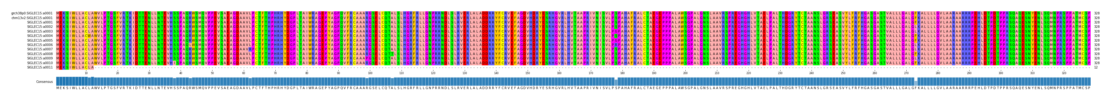 Multiple Alignments (by translate haplotype frequency)