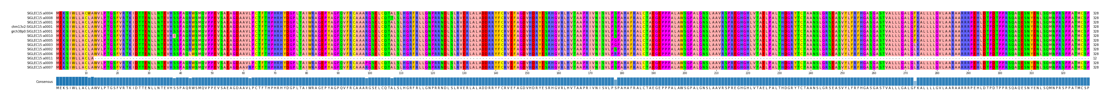 Multiple Alignments (by translate haplotype similarity)