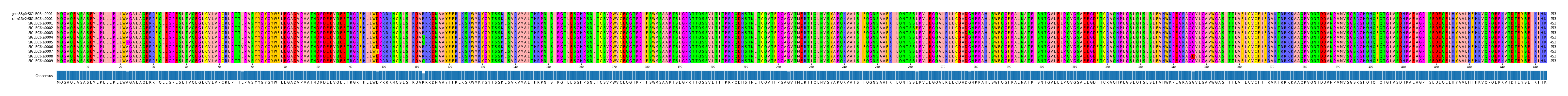 Multiple Alignments (by translate haplotype frequency)