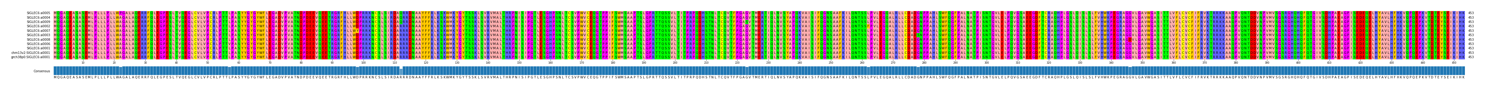 Multiple Alignments (by translate haplotype similarity)
