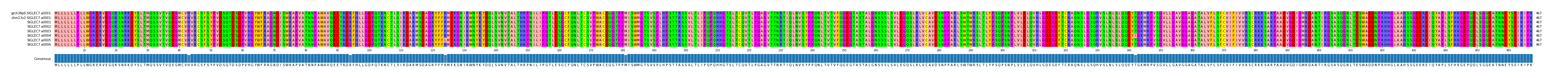 Multiple Alignments (by translate haplotype frequency)