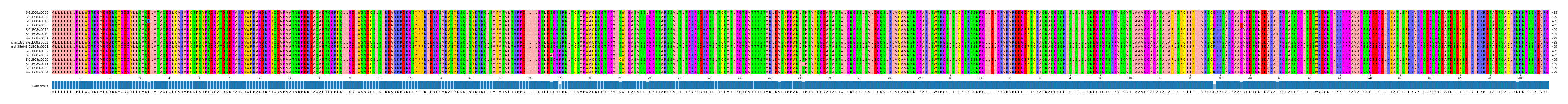 Multiple Alignments (by translate haplotype similarity)