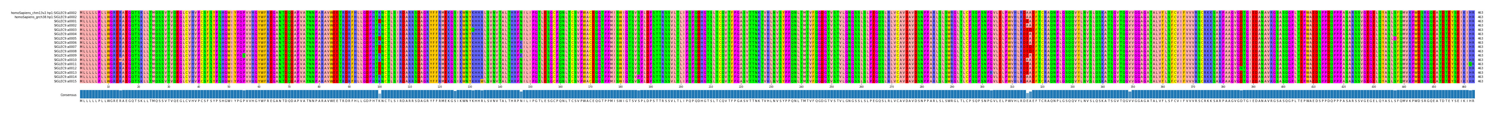 Multiple Alignments (by translate haplotype frequency)