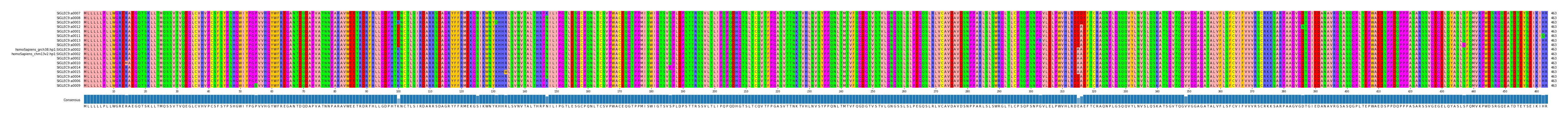 Multiple Alignments (by translate haplotype similarity)