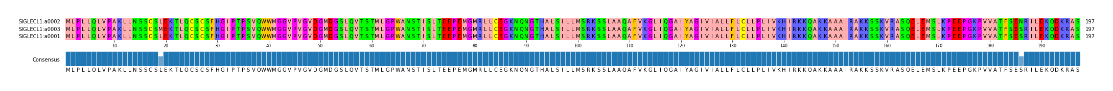 Multiple Alignments (by translate haplotype similarity)