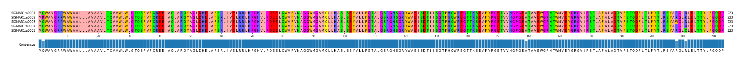 Multiple Alignments (by translate haplotype frequency)