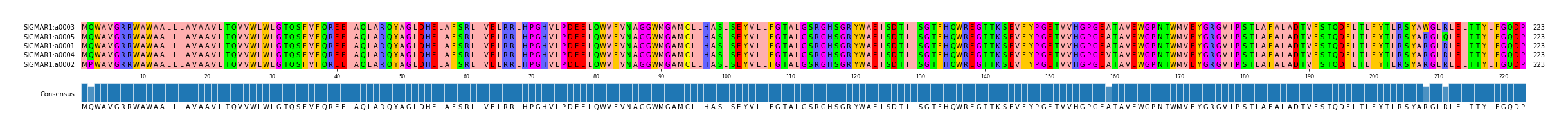 Multiple Alignments (by translate haplotype similarity)