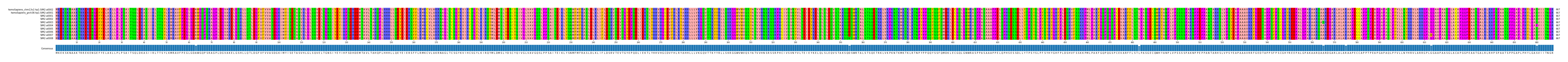 Multiple Alignments (by translate haplotype frequency)